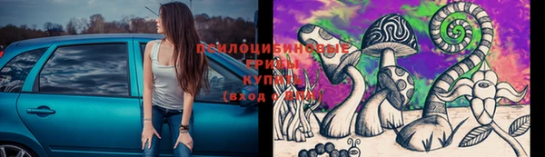 хмурый Алзамай