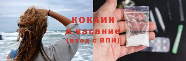 хмурый Алзамай