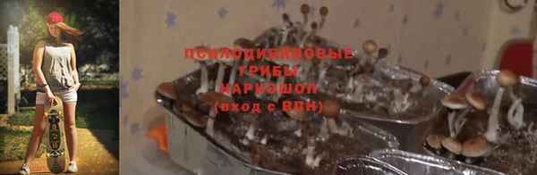 прущие крисы Алексеевка