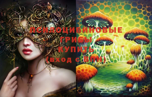 крисы Алексин