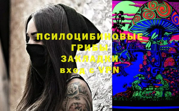 прущие крисы Алексеевка