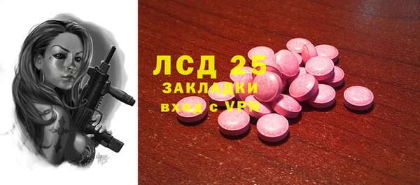 хмурый Алзамай