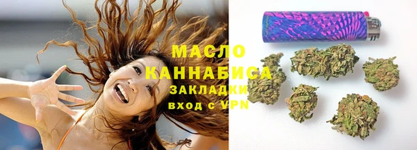 хмурый Алзамай