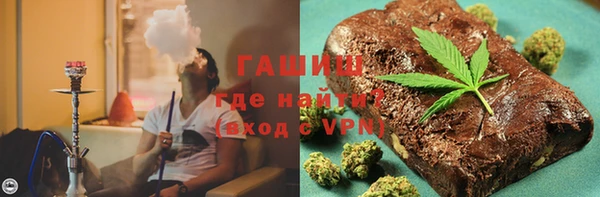 хмурый Алзамай