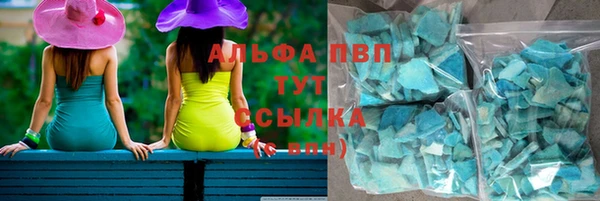 крисы Алексин