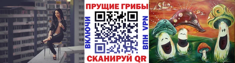 Галлюциногенные грибы Psilocybine cubensis  Завитинск 